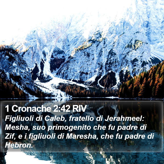 1 Cronache 2:42 RIV Bible Study