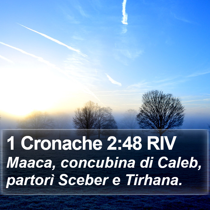 1 Cronache 2:48 RIV Bible Study