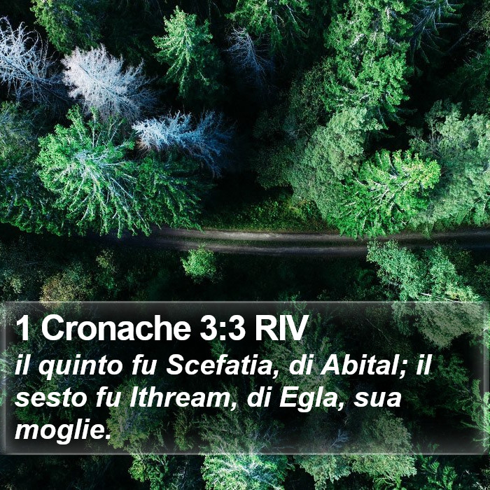 1 Cronache 3:3 RIV Bible Study