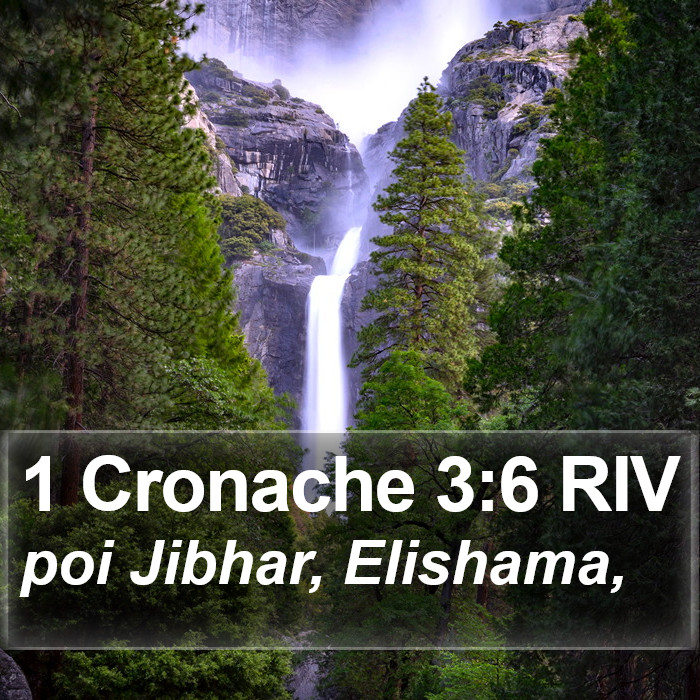 1 Cronache 3:6 RIV Bible Study