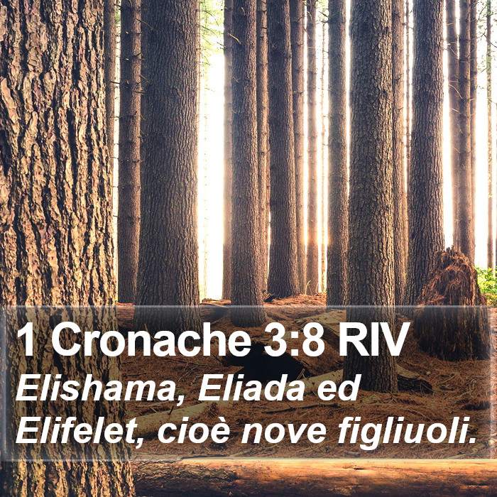 1 Cronache 3:8 RIV Bible Study