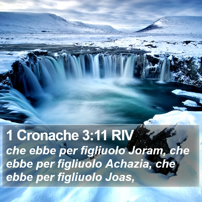 1 Cronache 3:11 RIV Bible Study