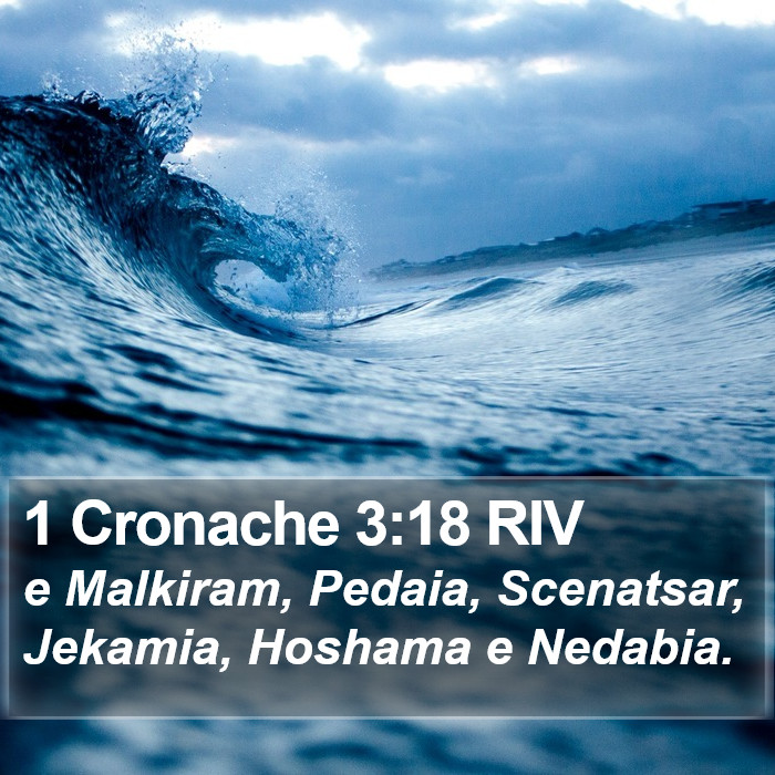 1 Cronache 3:18 RIV Bible Study