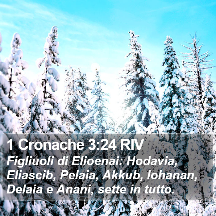 1 Cronache 3:24 RIV Bible Study