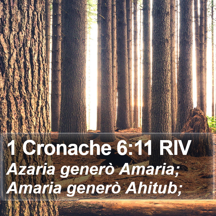 1 Cronache 6:11 RIV Bible Study