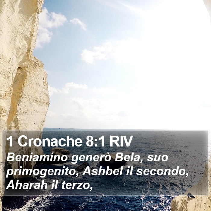 1 Cronache 8:1 RIV Bible Study