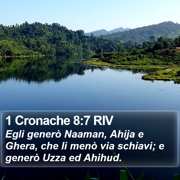 1 Cronache 8:7 RIV Bible Study