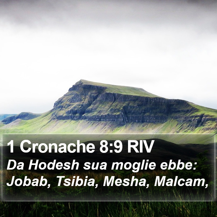 1 Cronache 8:9 RIV Bible Study