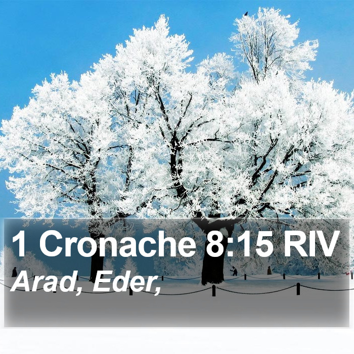 1 Cronache 8:15 RIV Bible Study