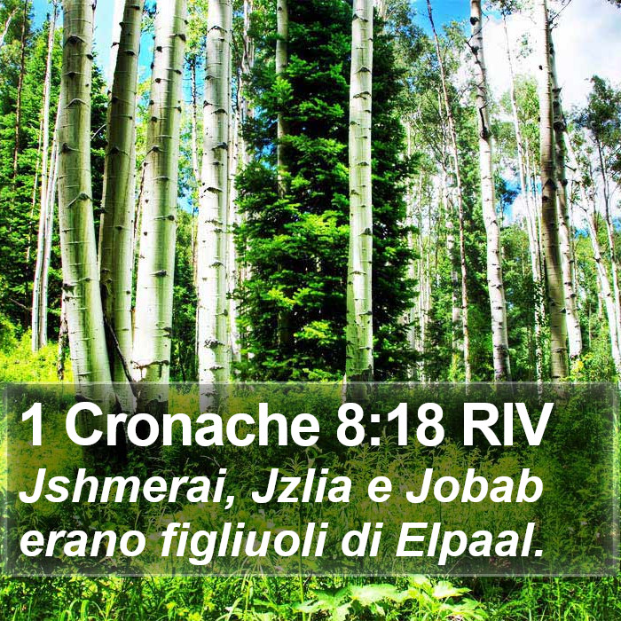 1 Cronache 8:18 RIV Bible Study