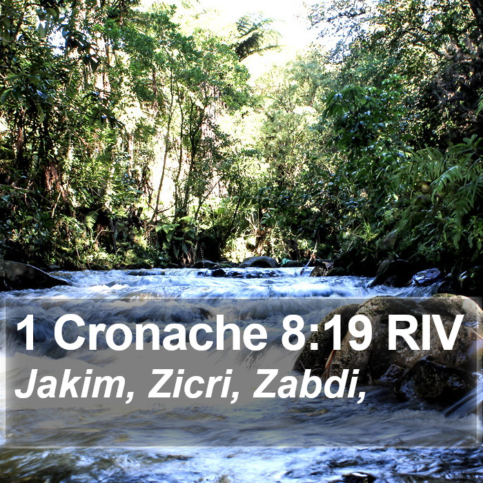 1 Cronache 8:19 RIV Bible Study