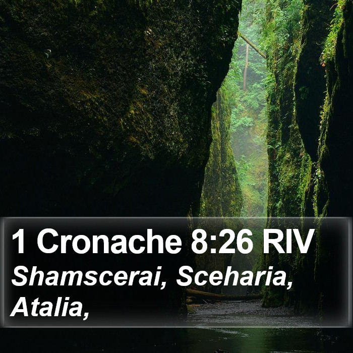 1 Cronache 8:26 RIV Bible Study