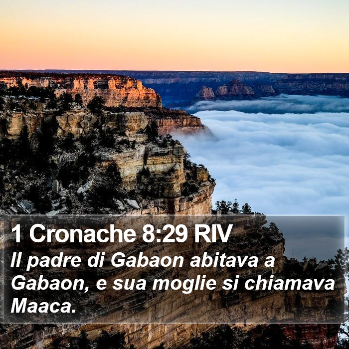 1 Cronache 8:29 RIV Bible Study