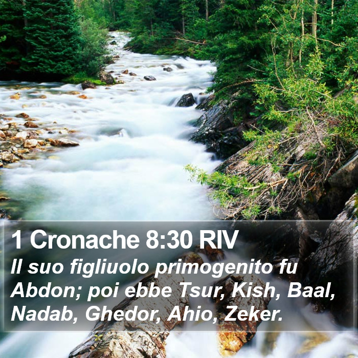 1 Cronache 8:30 RIV Bible Study