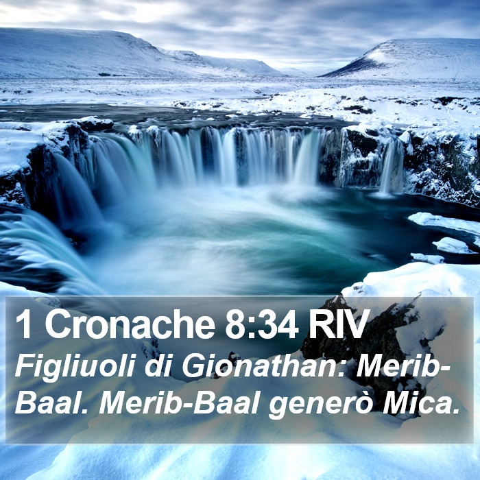 1 Cronache 8:34 RIV Bible Study