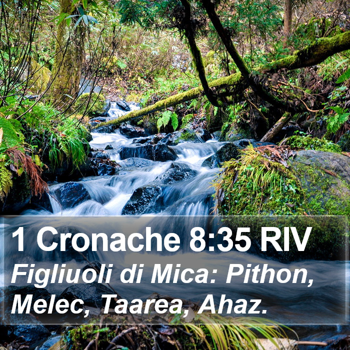 1 Cronache 8:35 RIV Bible Study