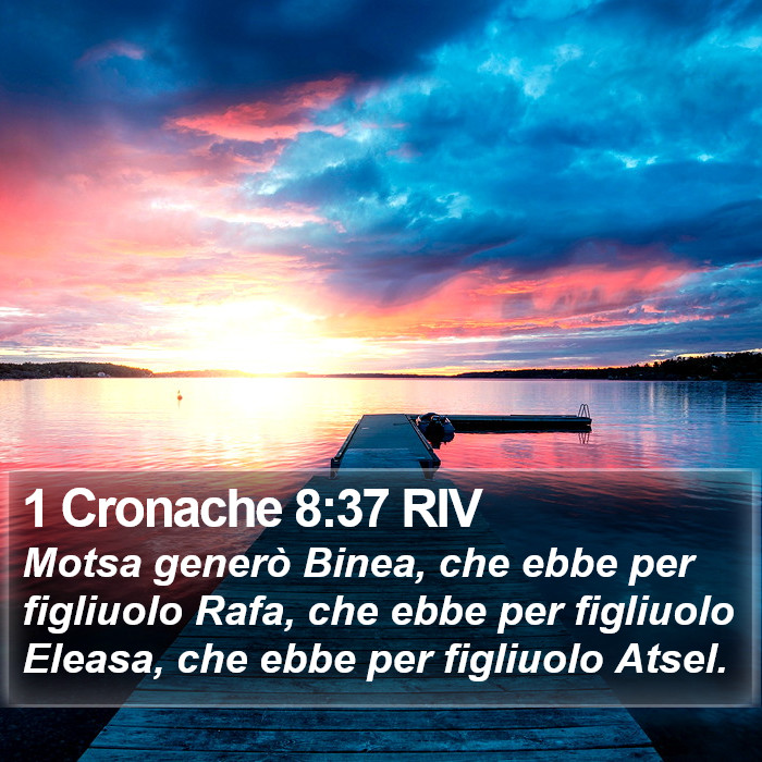 1 Cronache 8:37 RIV Bible Study