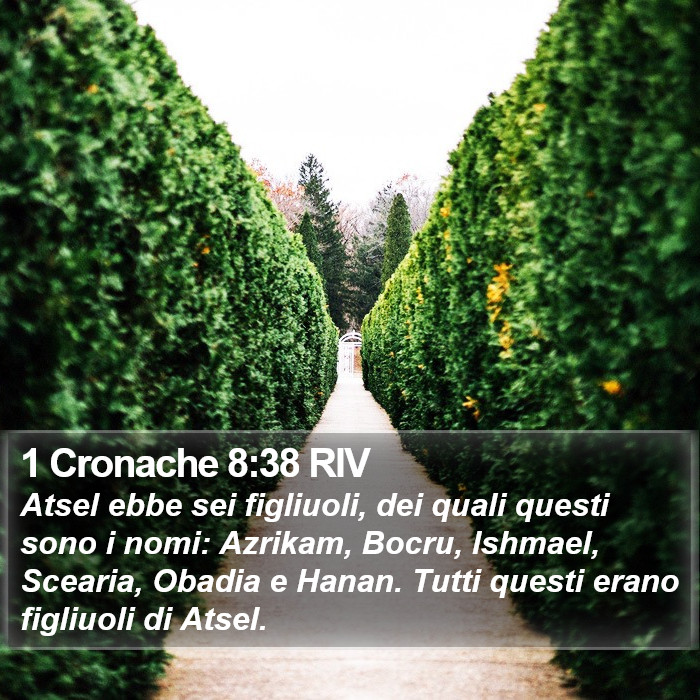 1 Cronache 8:38 RIV Bible Study