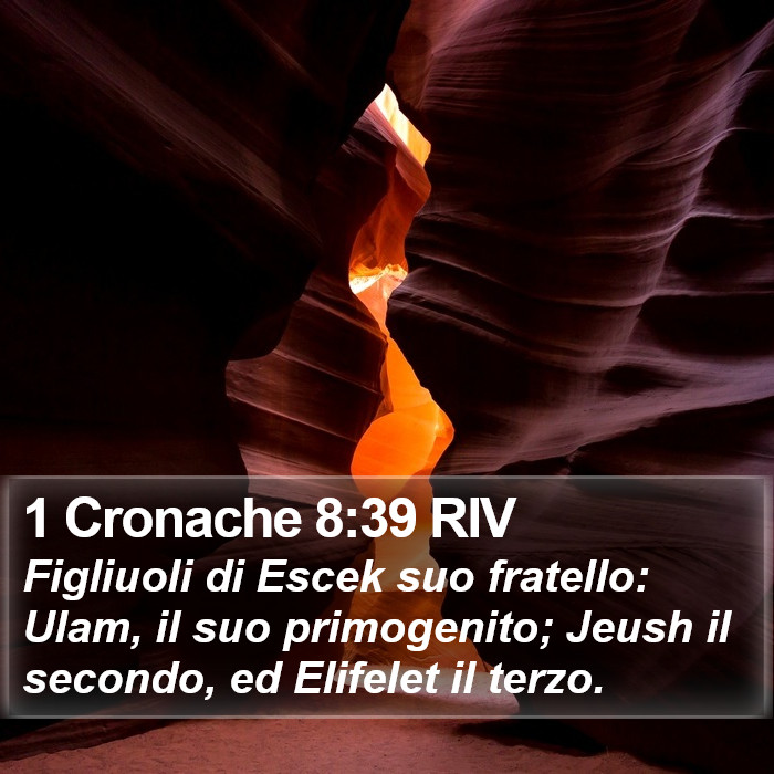 1 Cronache 8:39 RIV Bible Study