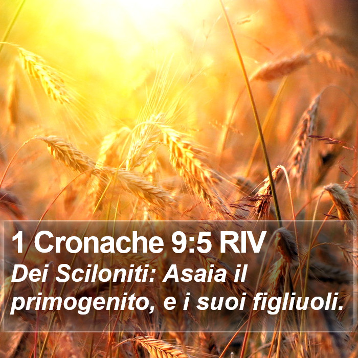 1 Cronache 9:5 RIV Bible Study