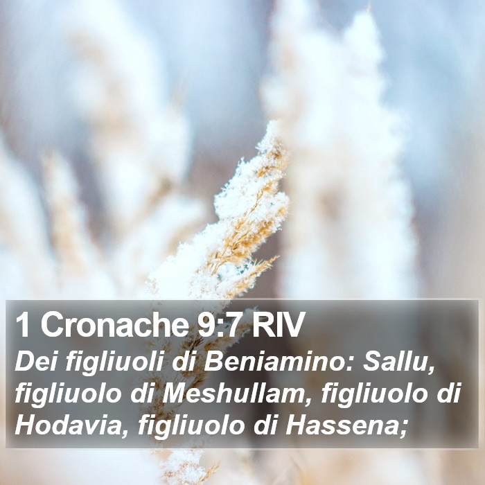 1 Cronache 9:7 RIV Bible Study