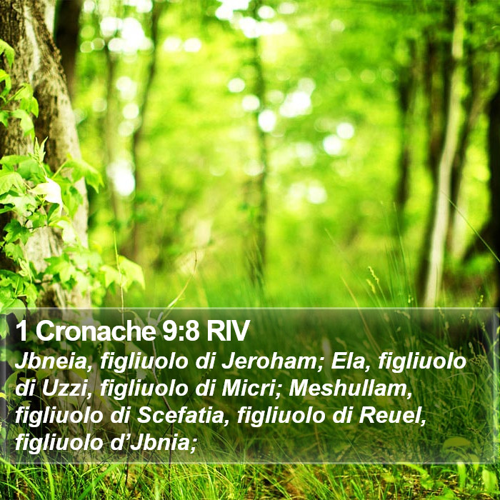 1 Cronache 9:8 RIV Bible Study