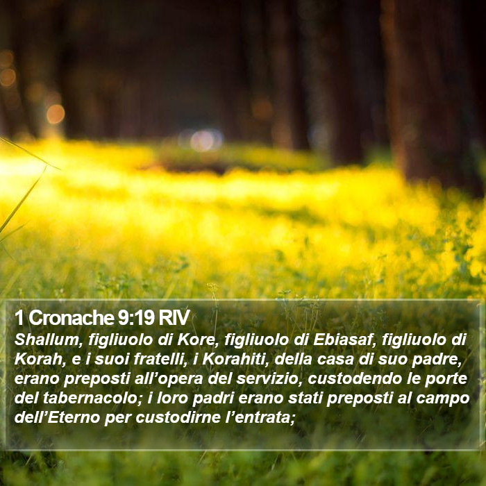 1 Cronache 9:19 RIV Bible Study