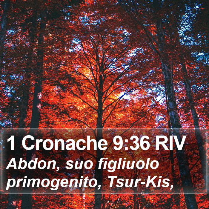 1 Cronache 9:36 RIV Bible Study