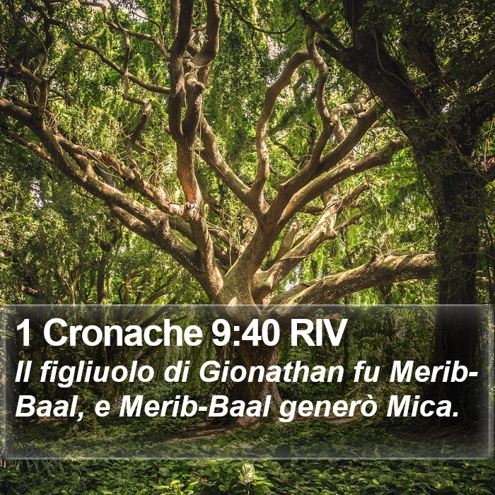 1 Cronache 9:40 RIV Bible Study