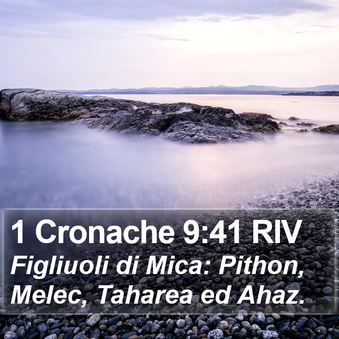 1 Cronache 9:41 RIV Bible Study