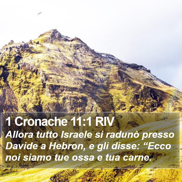 1 Cronache 11:1 RIV Bible Study