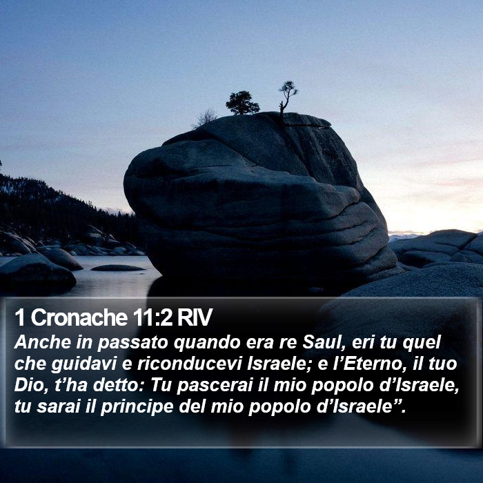 1 Cronache 11:2 RIV Bible Study