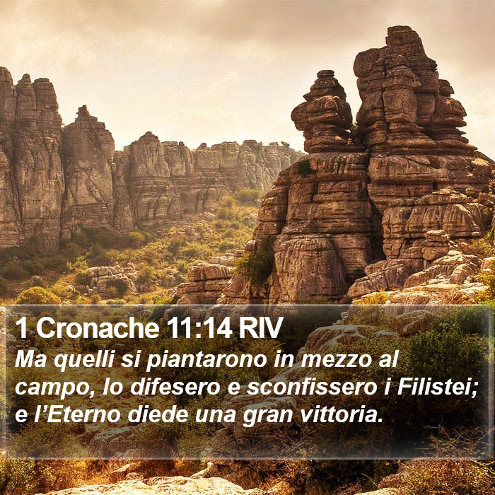 1 Cronache 11:14 RIV Bible Study