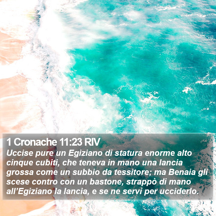 1 Cronache 11:23 RIV Bible Study