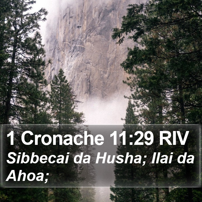 1 Cronache 11:29 RIV Bible Study