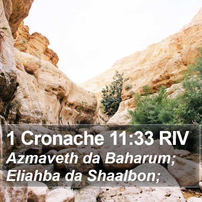 1 Cronache 11:33 RIV Bible Study