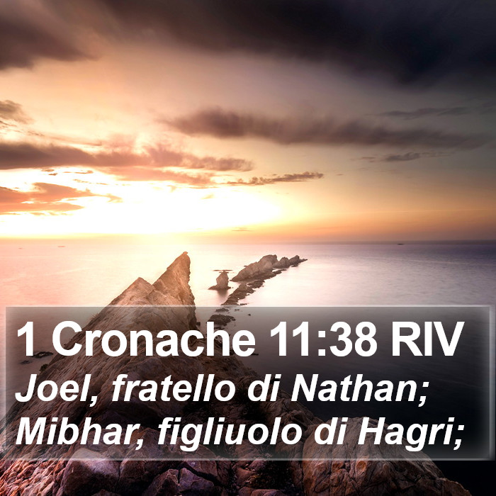 1 Cronache 11:38 RIV Bible Study