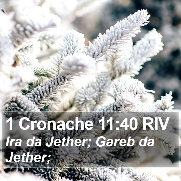 1 Cronache 11:40 RIV Bible Study