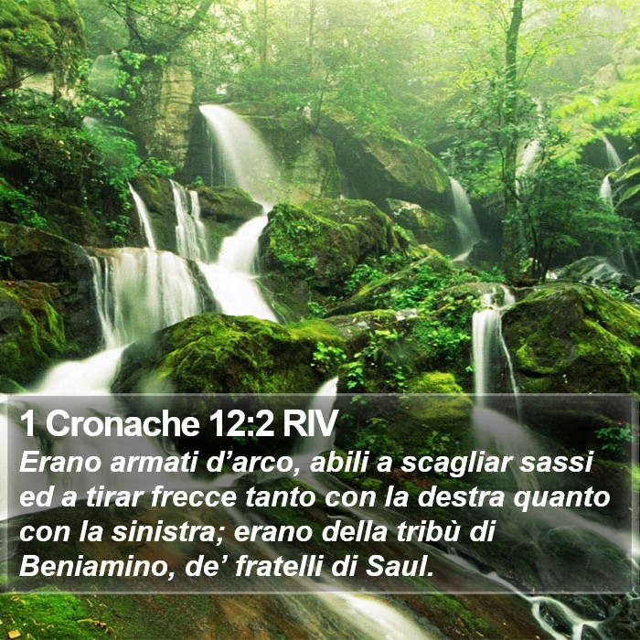 1 Cronache 12:2 RIV Bible Study