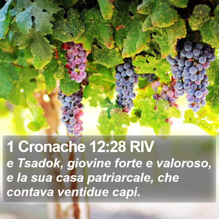 1 Cronache 12:28 RIV Bible Study