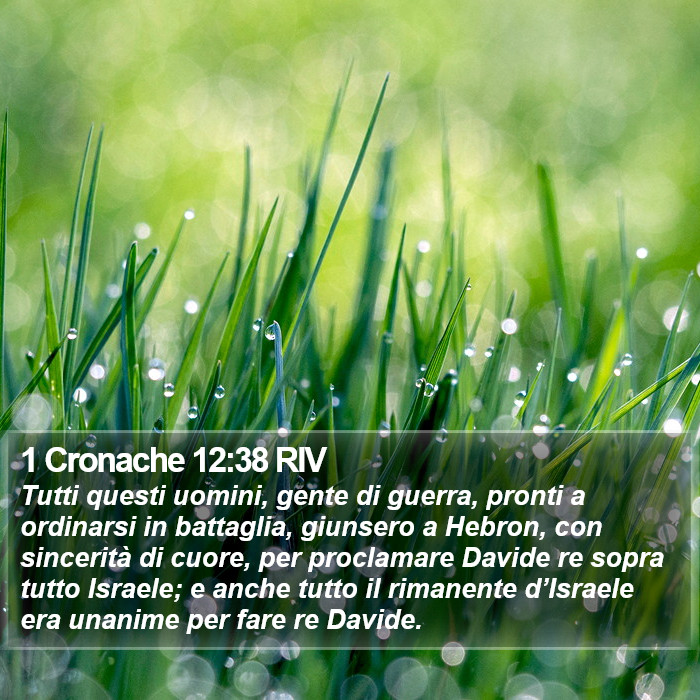 1 Cronache 12:38 RIV Bible Study