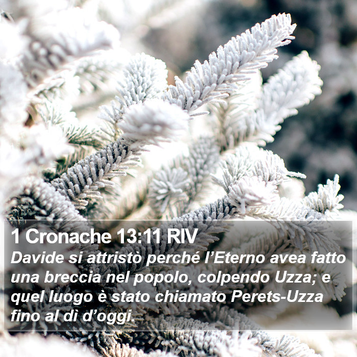 1 Cronache 13:11 RIV Bible Study