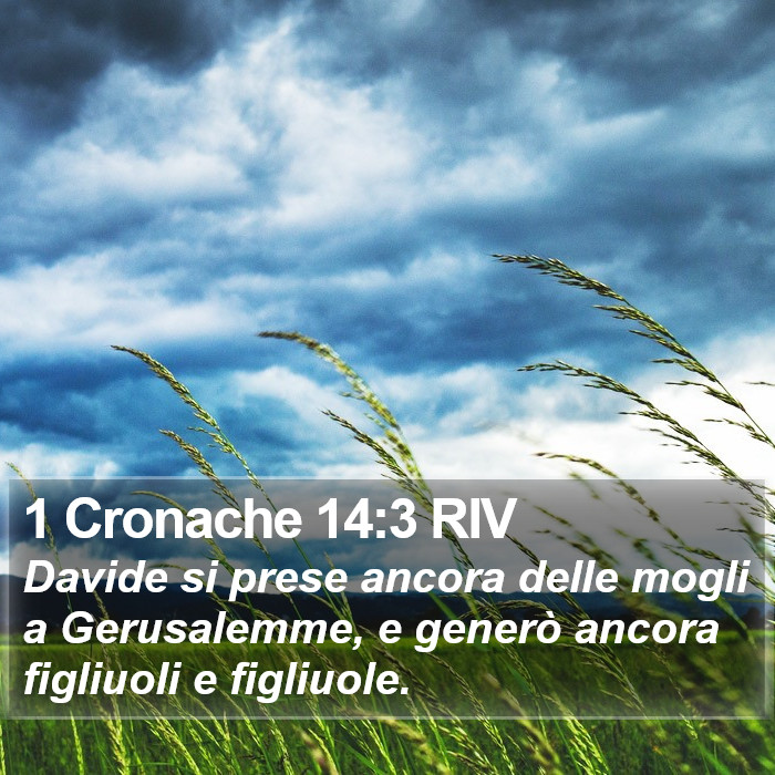 1 Cronache 14:3 RIV Bible Study