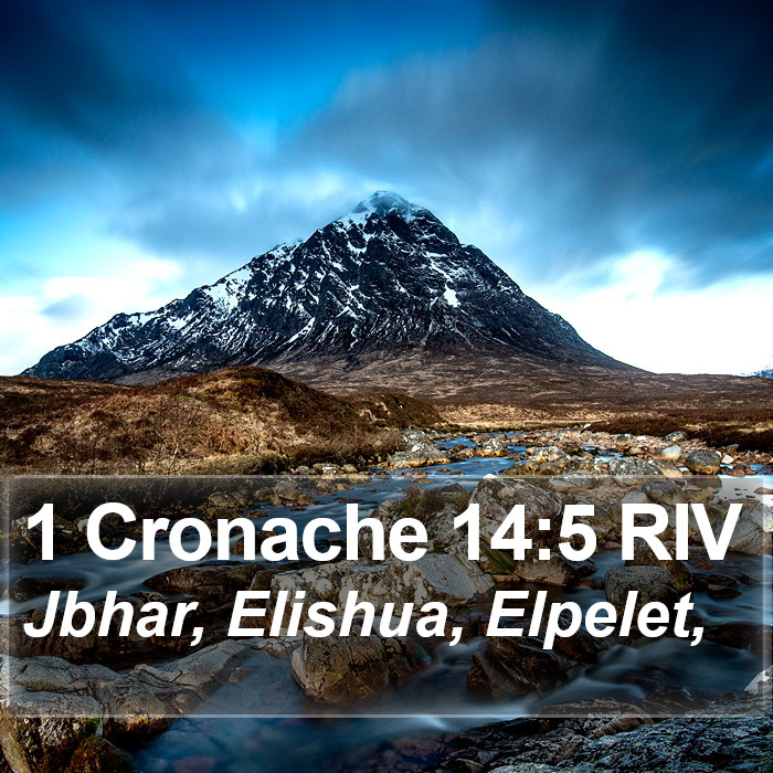 1 Cronache 14:5 RIV Bible Study