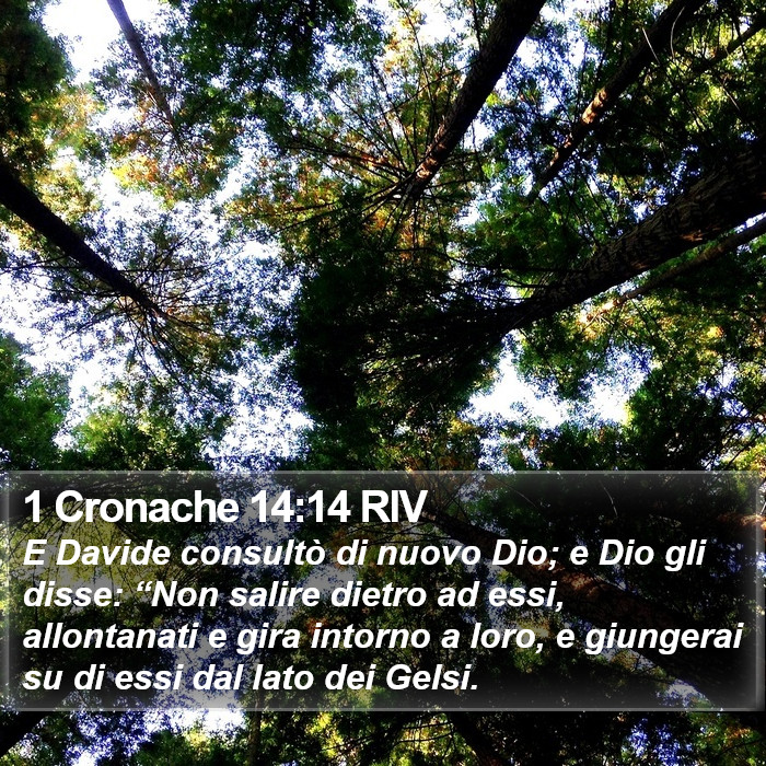 1 Cronache 14:14 RIV Bible Study