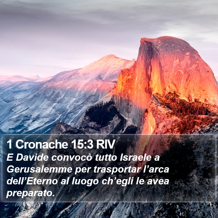 1 Cronache 15:3 RIV Bible Study