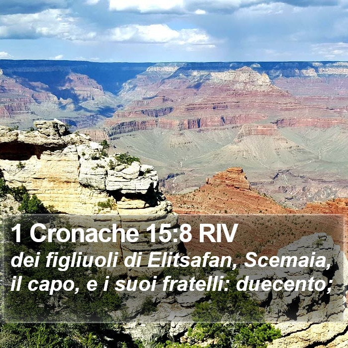 1 Cronache 15:8 RIV Bible Study