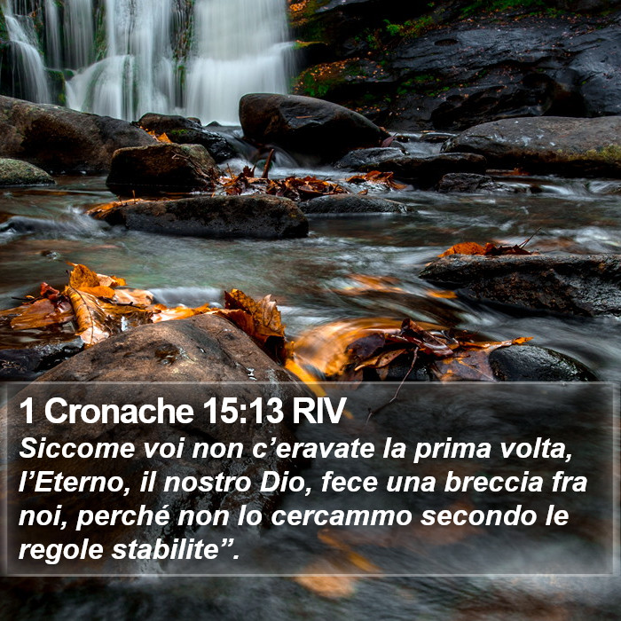 1 Cronache 15:13 RIV Bible Study