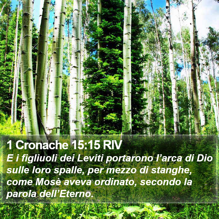 1 Cronache 15:15 RIV Bible Study