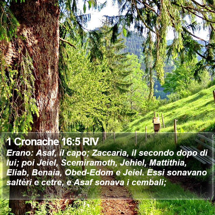 1 Cronache 16:5 RIV Bible Study